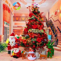 3 m Christmas tree package red decorations 300cm encrypted Christmas tree Christmas large luxurious Christmas tree 3M