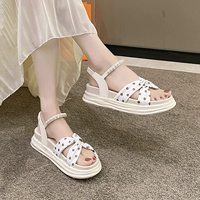 LX0809 Khaki Color