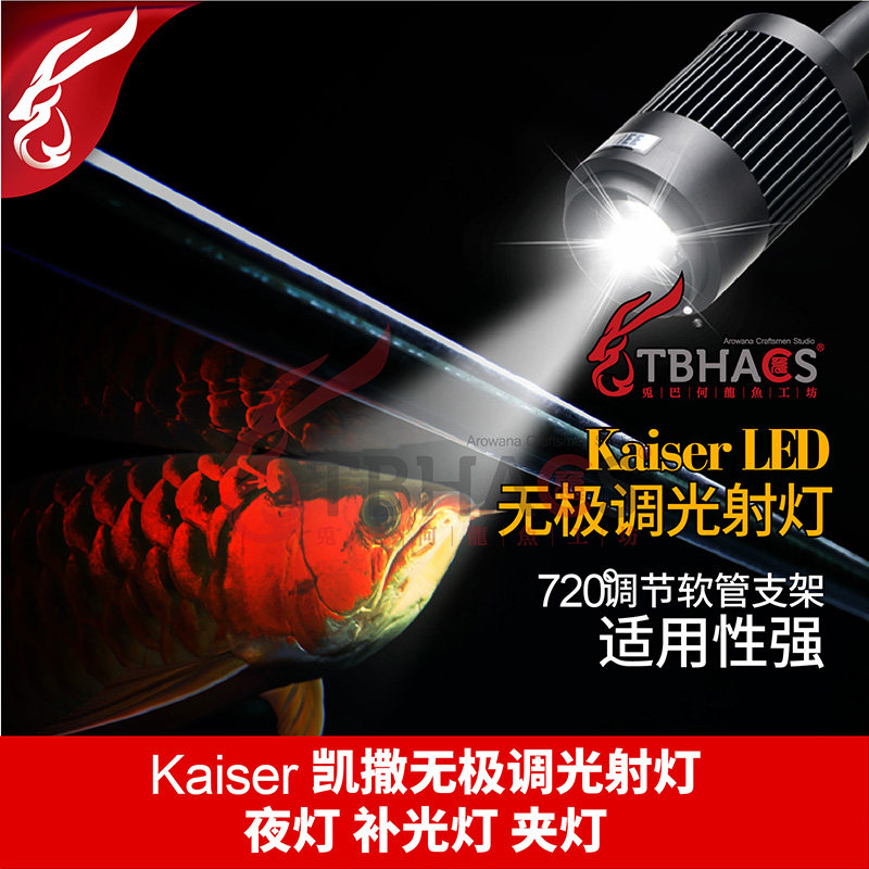 Caesar Spotlight New Mise-Less Dimming LED Light Red Dragon Small Night Light Fish Tank Clip Light Tonic South America Three Lakes Sea Water