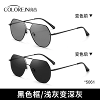 [Многосторонняя модель] Черная рама + плоская светло -серый до темно -серого (5061)