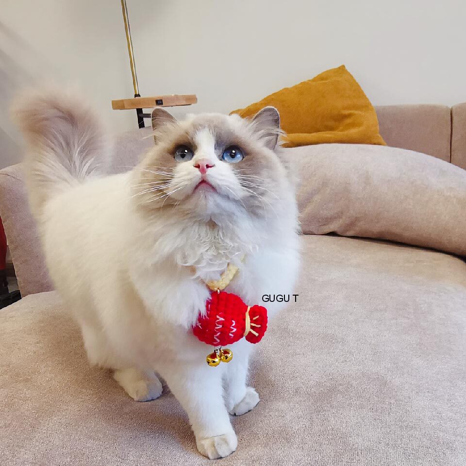 GUGUT handmade pet collar cute collar Cat jewelry Dog necklace Muppet saliva towel Pet gift customization