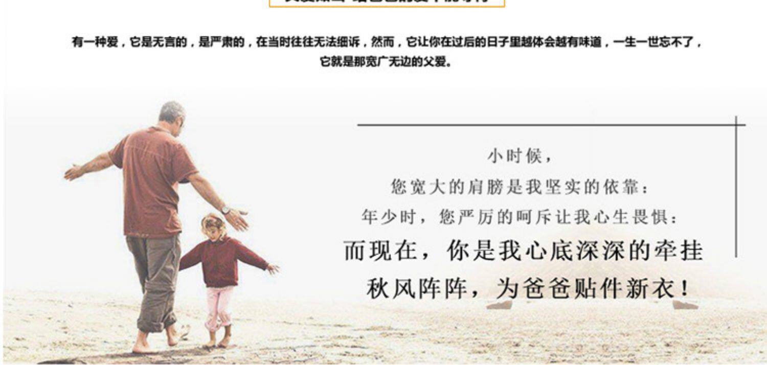 Шерстяной демисезонный лонгслив, футболка polo, мужской трикотажный свитер, для среднего возраста Romon / Romon 