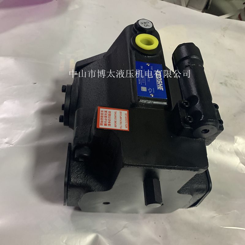 YEOSHE Original Bottling Oil Liter Plunger Pump V38A4R10XV38A3R10XV15A4R Hydraulic Pump Spot Electric