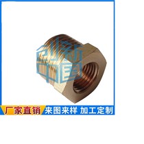 Spot beauty Label national standard pressure gauge conversion joint brass complet NPT BSPT BSPP thread