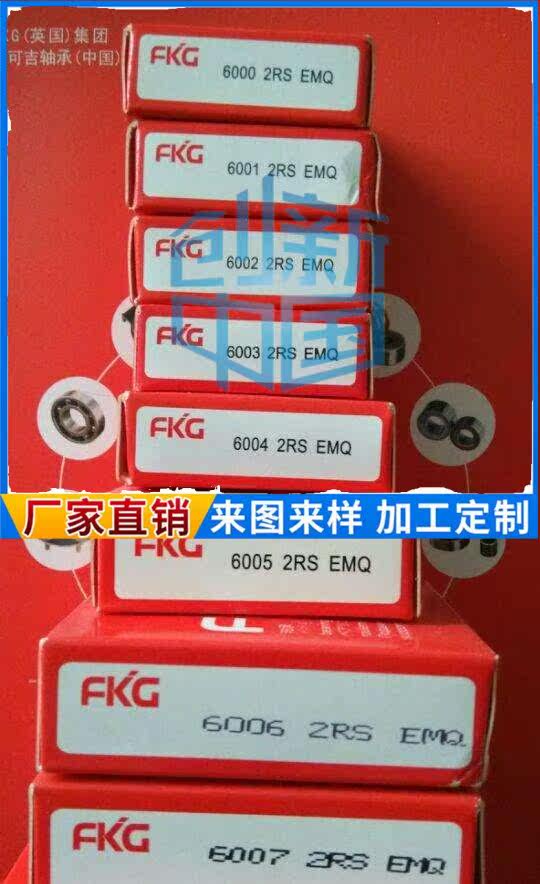 FKG Fukugii import 6000 6000 6001 6002 6003 6004 6004 6006 6006 6007-2RS