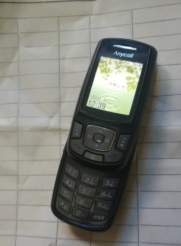 Samsung, GalaxyF379, классический мобильный телефон, 3G