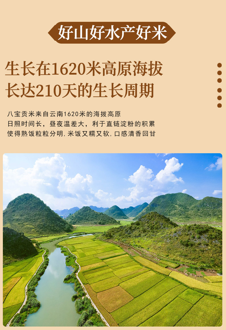 安享好物 安享B级粳米-八宝贡羊玉脂米 企标 