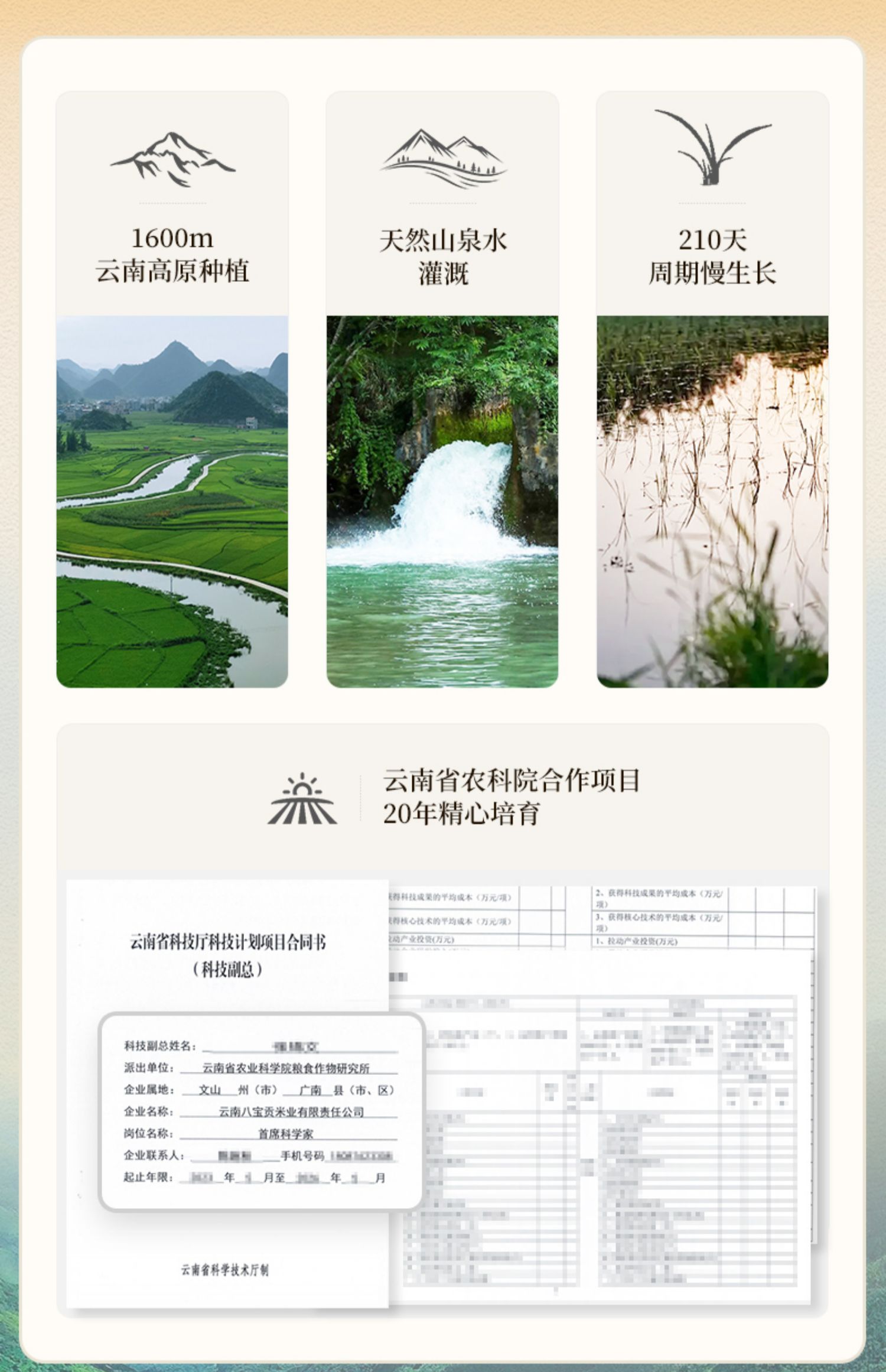 安享好物 安享D级粳米-八宝贡高原小粒香 企标