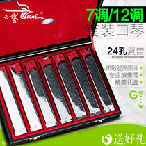 Swan 24 hole polyphonic harmonica professional performance 7 tune 12 tune set ABCDEFGA#C#D#F#G# tune gift box