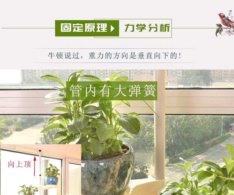 Sáng tạo đứng ban công phòng khách biến góc hoa đứng nhiều lớp màu xanh lá cây thì là tường nội thất kệ hoa - Kệ giá sách gỗ