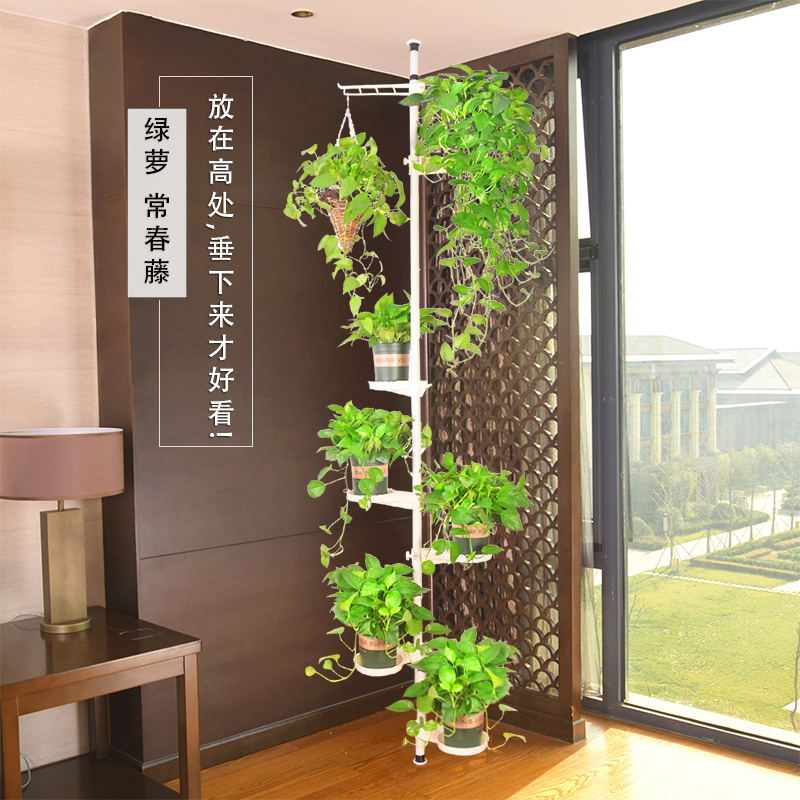Sáng tạo đứng ban công phòng khách biến góc hoa đứng nhiều lớp màu xanh lá cây thì là tường nội thất kệ hoa - Kệ giá sách gỗ