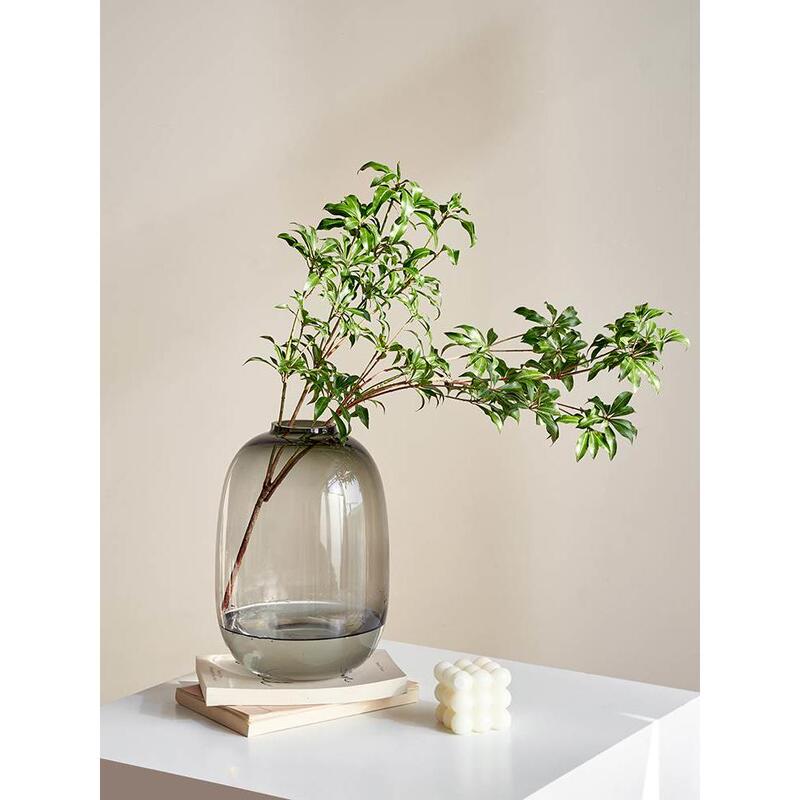 Micro-Landscape Ecological Bottle, Large Belly Glass Vase, Simple Classic Oval Small-Mouth Vase, Model Room Flower Arrangement Vessel