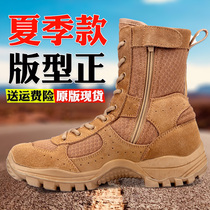 Brown combat boots mens new ultra-light outdoor training boots four-season comfortable high-top zipper wear-resistant anti-slip training boots