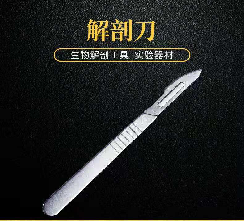 解剖刀(解剖刀柄+刀片)解剖工具器具生物实验器材教学仪器