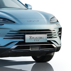 Byd Songplus 스냅 온 곤충 방지 네트