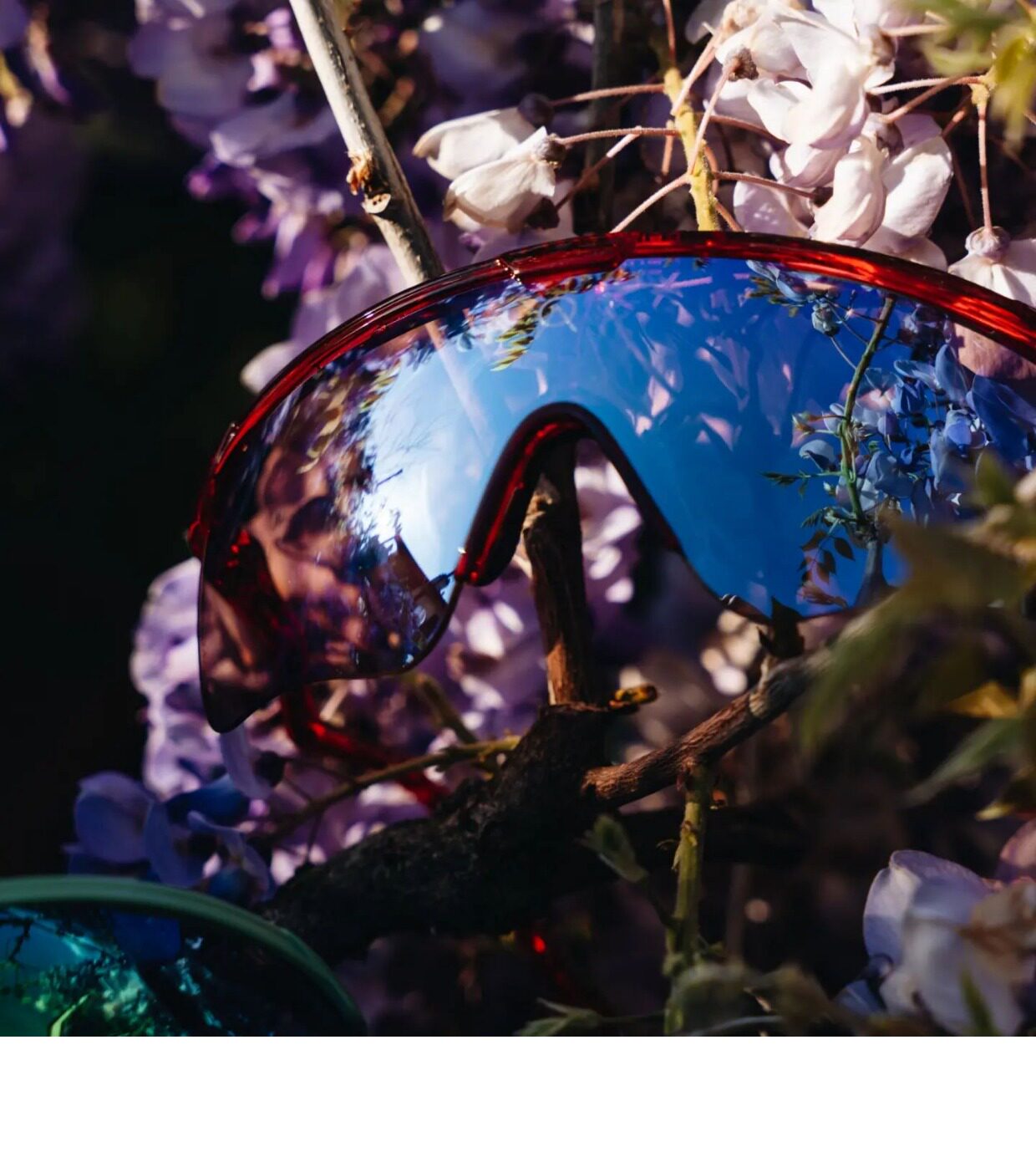 велоочки None Albaoptics Delta