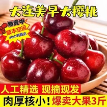 Dalian Meizao Big Cherry Fresh Fruit Domestic Cherry 5J Seasonal Pregnancy Gift Box Full Box SF Express
