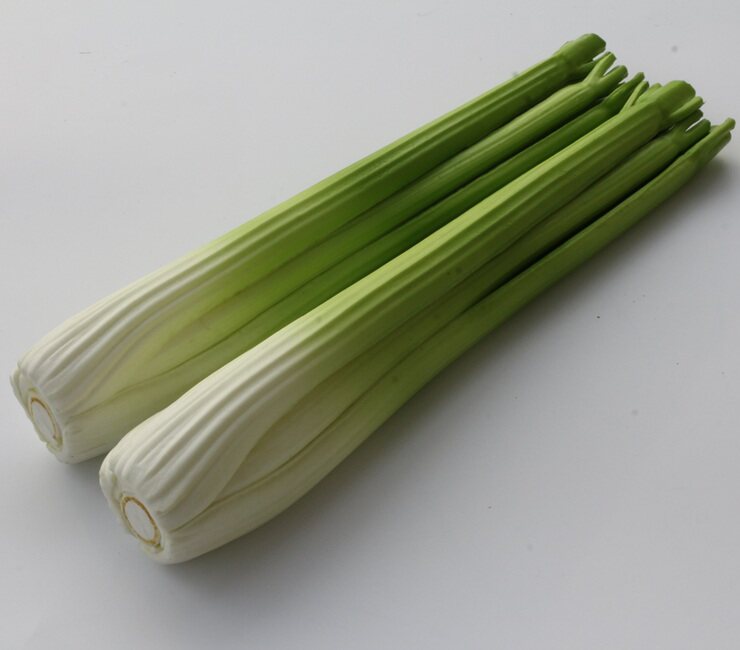 Simulation fruit and vegetable fake fruit and vegetable model toy cabinet kitchen decoration simulation celery celery