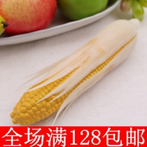Simulation corn high simulation fruit fake vegetables model cabinet decorations early childhood education