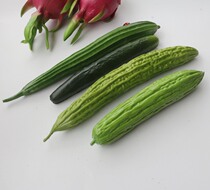 Fake vegetable model cabinet photography decorations hotel decoration simulation PU bitter gourd cold melon loofah cucumber cucumber