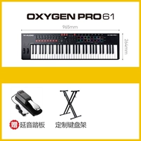 OxygenPro61+педаль+стент (пятно