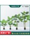 High-End Light Luxury Artificial Green Plant Monstera for Home Living Room, Fake Plant Nordic Large Potted Landscape Decoration Ornament