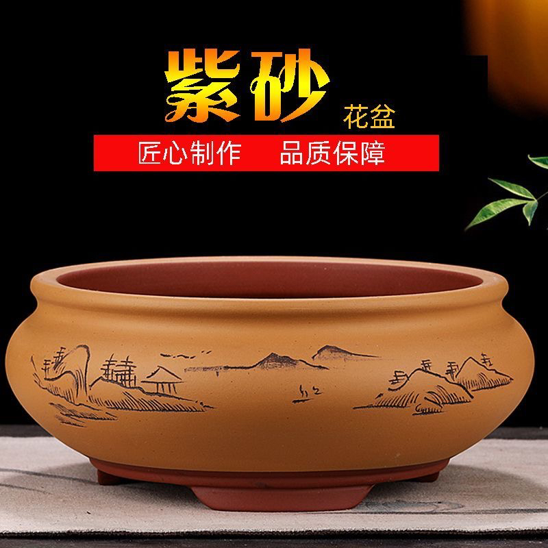 菖蒲蘭- Top 1000件菖蒲蘭- 2025年6月更新- Taobao