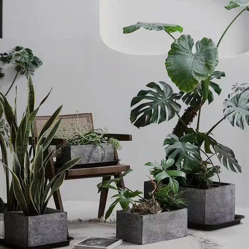 植缘艺的LOGO
