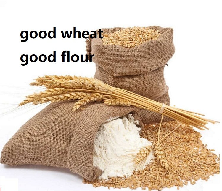 10 10 kilograms of flour high gluten steamed buns bun noodles good bread pizza wheat flor 5KG