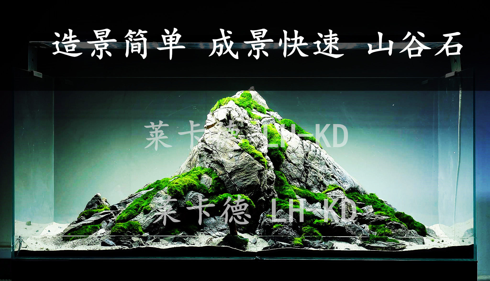 山谷石造景,山谷石是什么石头,山谷石和青龙石区别(第18页)_大山谷图库