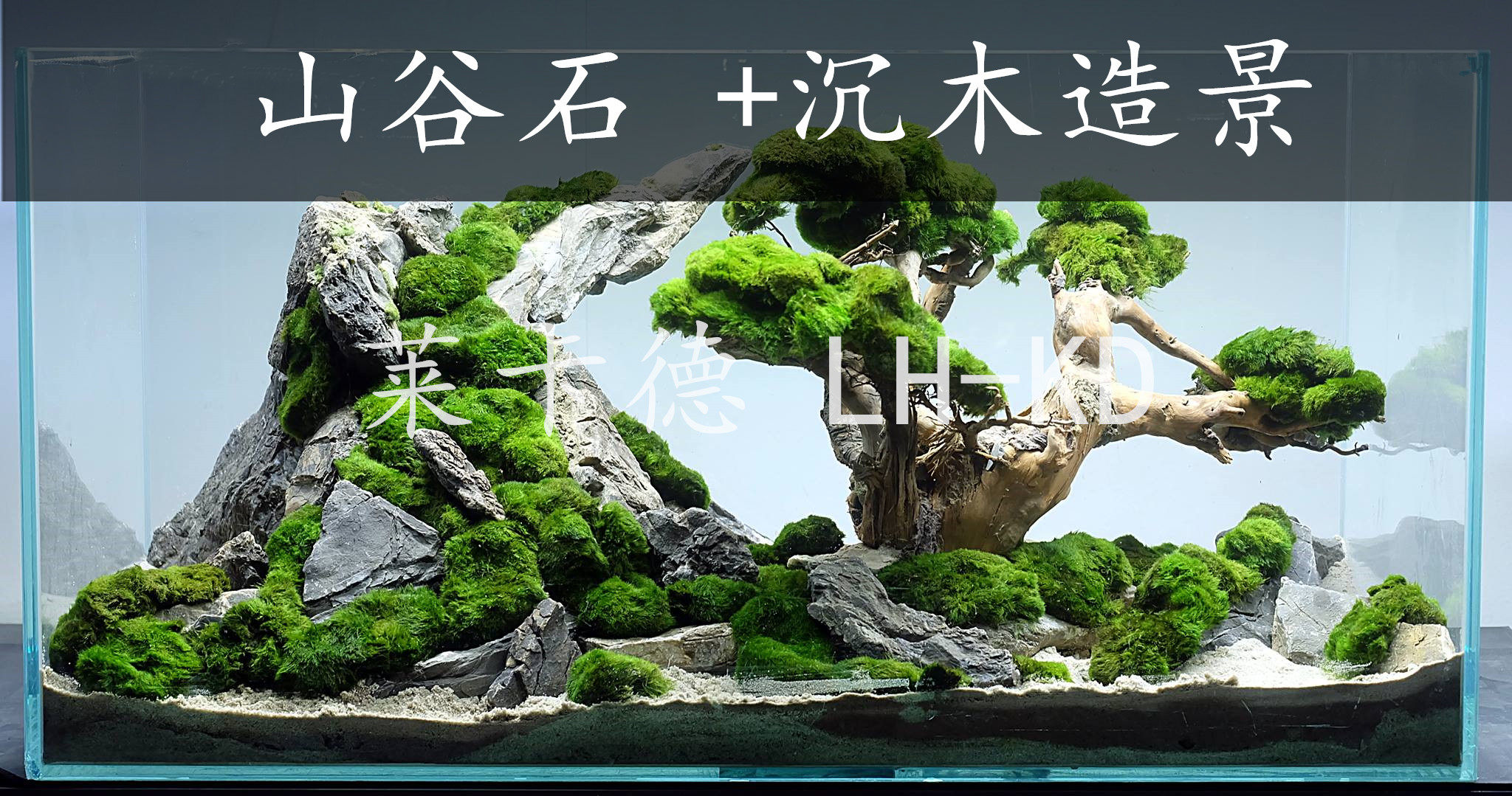 山谷石造景,山谷石是什么石头,山谷石和青龙石区别(第26页)_大山谷图库