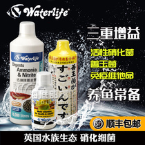 British original waterlife aquarium ecological fish tank Nitrifying bacteria aquarium digestive bacteria Live bacteria vitamins