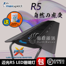 Mai Guang R5 magic lamp Ultra-thin sea water lamp Coral LED lamp fish tank Coral lamp sea tank lamp Full spectrum aquarium lamp