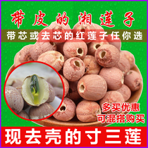 Red lotus seed core with core dry goods 500g Hunan special grade Xiangtan with red skin lotus seed medicinal inch Sanlian Xianglian seed