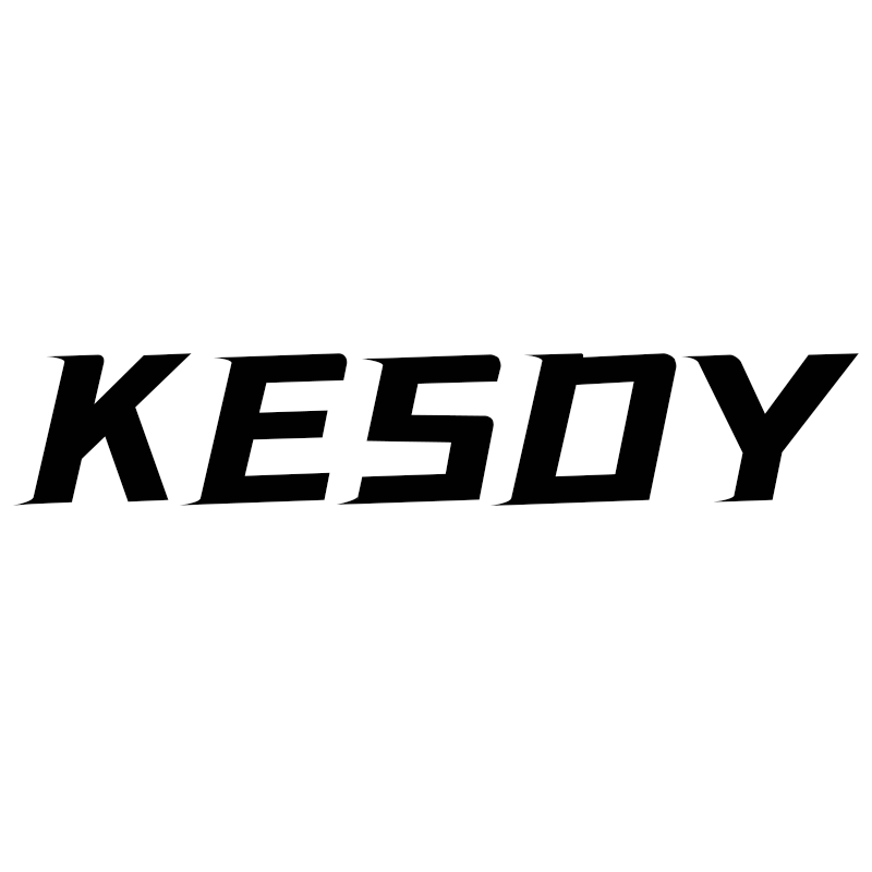 KESDY中国