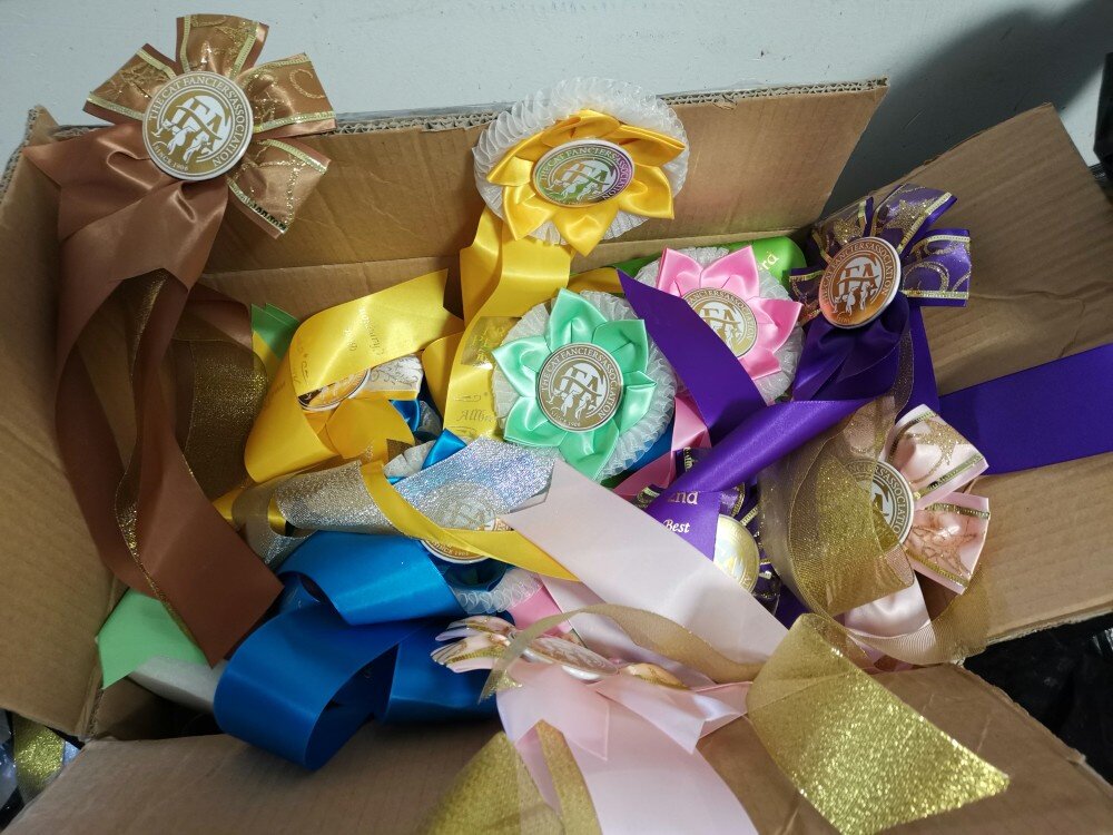 The first prize flower special shot cat award flower field prize flower cat competition prize flower