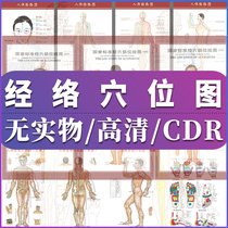 Human meridian acupoint map acupoint parts vector illustration CDR PSD AI material diagram