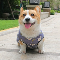 Маленькая свиная пепельная жилет