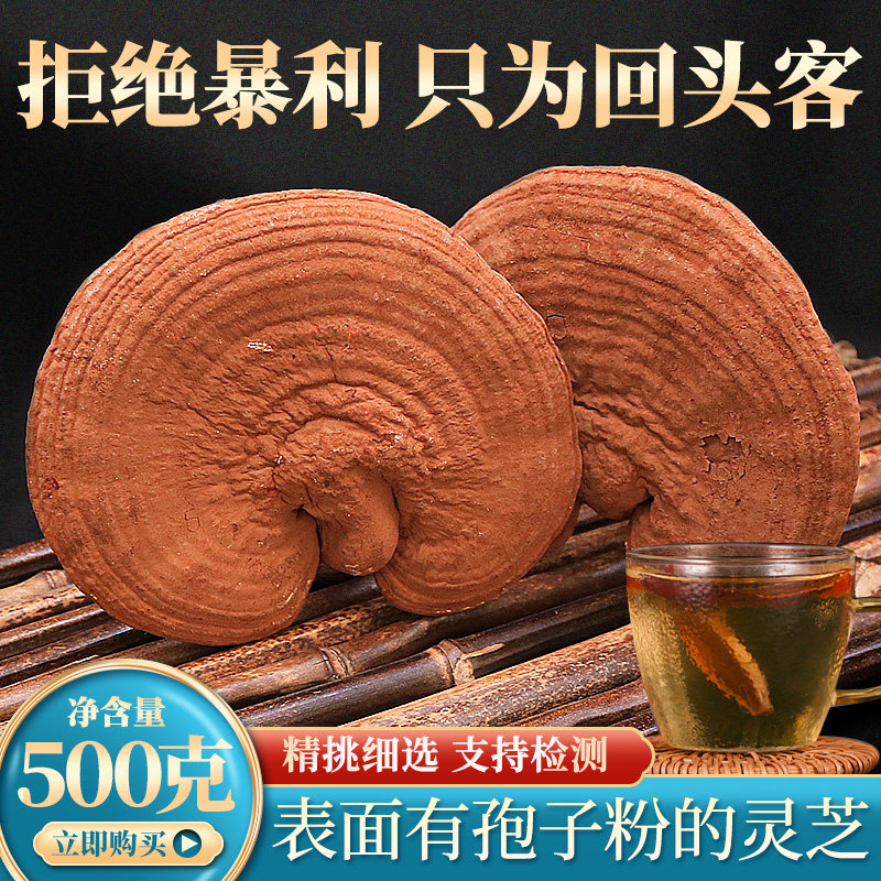 Changbai Mountain wild Ganoderma lucidum Lin Yunzhi gift box pure natural special grade 500g red zhi 1 kg dry goods