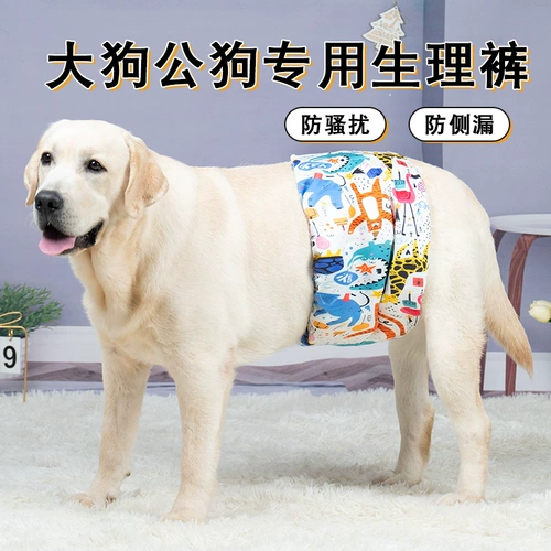 Физиологические штаны для собак собаки собаки вежливые домашние педы Большой Собака Внутренние штаны, чтобы предотвратить преследование по поясу эструса Анти -диаргея