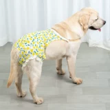 Другие брюки Четырех -летняя магазин шесть размеров брюк, собак, физиологических штанов, брюки с сука брюки, женские собаки специальные менструальные анти -интерсии с золотистым ретривером санитаря