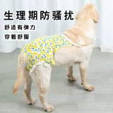 Другие брюки Четырех -летняя магазин шесть размеров брюк, собак, физиологических штанов, брюки с сука брюки, женские собаки специальные менструальные анти -интерсии с золотистым ретривером санитаря