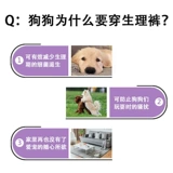 Физиологические штаны для собак собаки собаки вежливые домашние педы Большой Собака Внутренние штаны, чтобы предотвратить преследование по поясу эструса Анти -диаргея