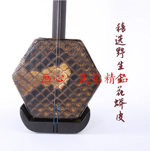 Профессиональные музыкальные инструменты, прямые продажи с завода