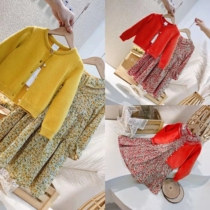 Girl Spring and Autumn Dress Two Pieces of Autumn Small Girl Set Red Fried Street Shreddish Flower Han Gang