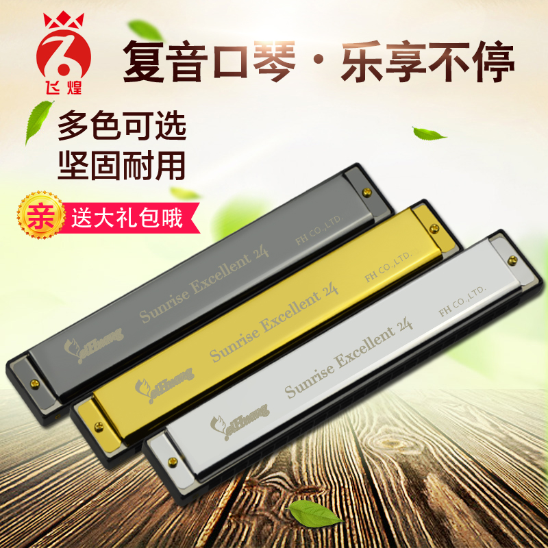 Feihuang F2403 Consonant C tune harmonica children beginners professional playing