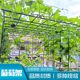 ກະຕ່າດອກໄມ້ເຄືອ rack grape rack courtyard outdoor rose climbing vine rack cucumber rack green plant support pole gardening