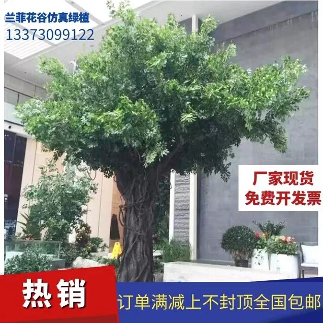 兰菲花谷仿真绿植工厂