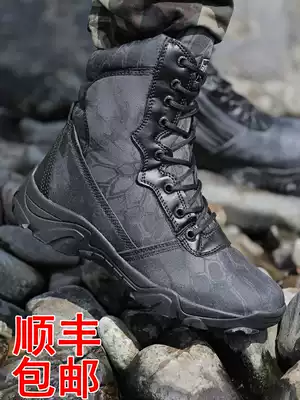 Outdoor delta python pattern training men's winter special forces combat boots Ultra-light breathable marine boots high-barrel tactical boots