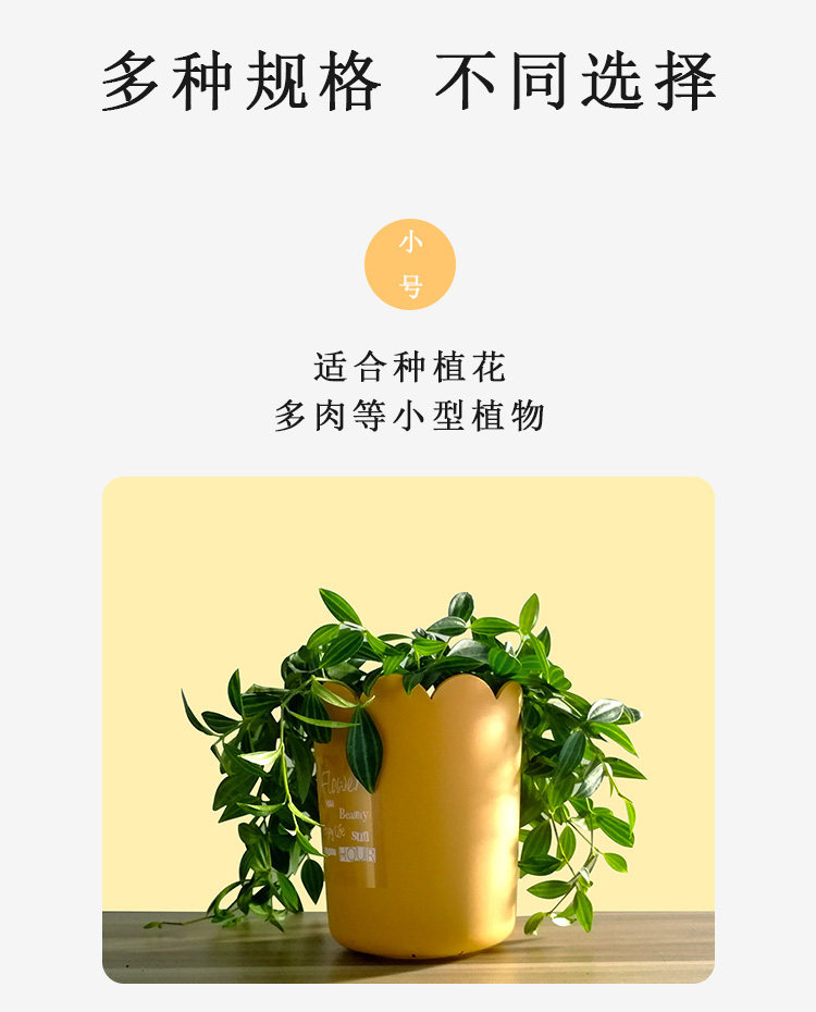 04.jpg